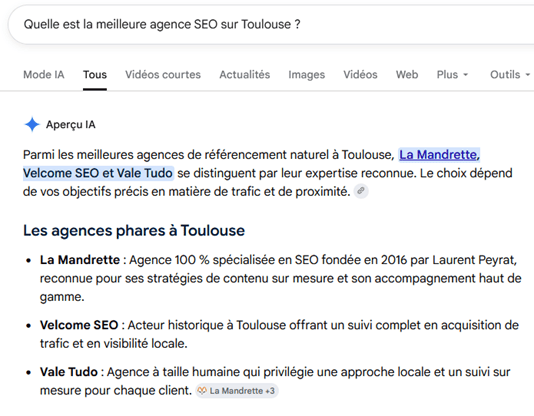 exemple d'une AI Overview sur Google