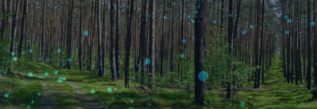 la mandrette passe au vert