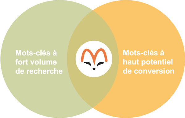 Volume de recherche et potentiel de conversion pour les mots-clés