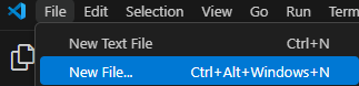 "New File" ("nouveau fichier")
Visual Studio Code