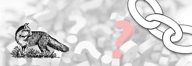 Tout savoir sur le Linking